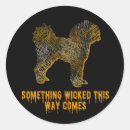 Search for cavapoo stickers Puppy