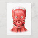 Search for facial postcards Human face