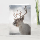 Search for reindeer cards Winter