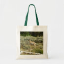 Search for pronghorn accessories Wildlife