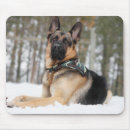 Search for bandanna electronics Puppy