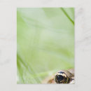 Search for body shape postcards Animal body part