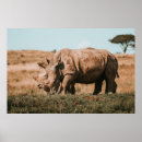 Search for grazing posters Nature