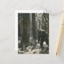 Search for vintage black and white postcards Cute