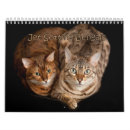 Search for funny cat calendars Photos