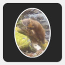 Search for logging stickers Wildlife