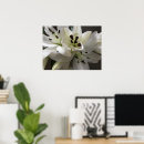 Search for oriental flowers posters White