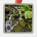 Search for blur christmas tree decorations Nature