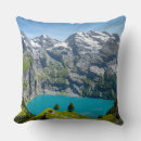Search for alpine cushions Mountain