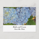 Search for purple hydrangea save the dates Blue