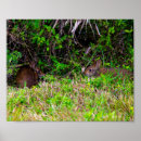 Search for cute rabbits posters Brown