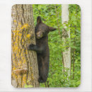 Search for cathy mousepads Danita delimont