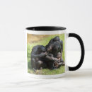 Search for ape mugs Wildlife