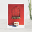 Search for windows window cards Photograph