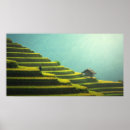 Search for rice paper art Nature