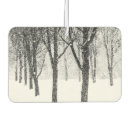 Search for bare floor Trees