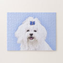 Search for maltese dog puzzles White