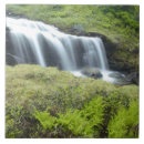 Search for norway tiles Nature