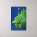 Search for topics art Nature