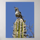 Search for wren posters Nature