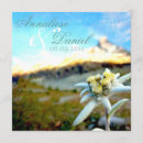 Search for austrias invitations Edelweiss
