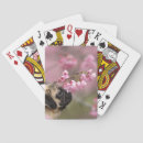 Search for pug playing cards Pet