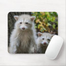 Search for raccoon mousepads Forest