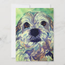 Search for lhasa cards Apso