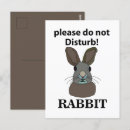 Search for funny easter postcards Rabbit