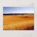 Search for mouse pad postcards Beautiful