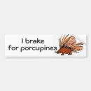 Search for hedgehogs bumper stickers Humour