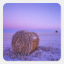 Search for bales stickers Hay