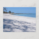 Search for snorkels postcards Reef