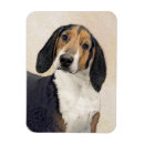 Search for walker magnets Treeing walker coonhound