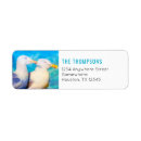 Search for gulls return address labels Nature