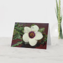 Search for flower still cards White