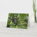 Search for chimpanzee cards Chimps
