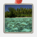 Search for coastal christmas tree decorations Palm