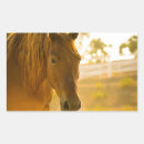 Search for equine stickers Beauty