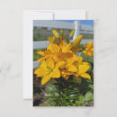 Search for lily flower note cards Garden