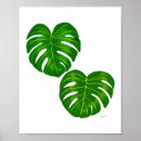 Search for monstera art Jungle