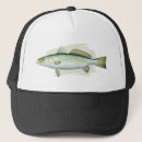 Search for spotted hats Nature