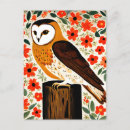 Search for barn owl postcards Wild