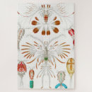 Search for marine life puzzles Ernst haeckel
