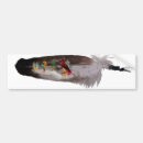 Search for feathers bumper stickers Eagle