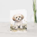 Search for dog note cards White