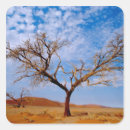 Search for namibia stickers Landscape