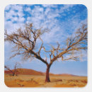 Search for africa stickers Landscape