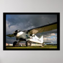 Search for beaver art Sky