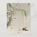 Search for swallow birds art postcards Nature